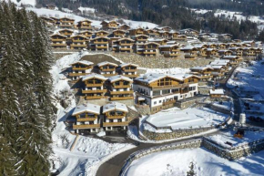 Nationalpark Chalet Kleinvenediger Neukirchen Am Großvenediger
